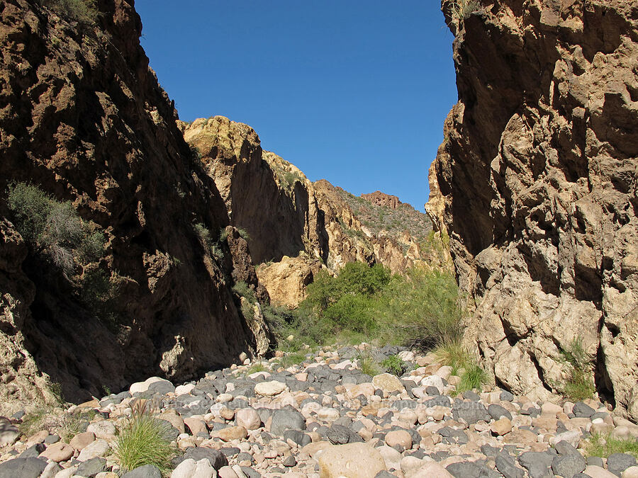 rocky canyon [Lower Boulder Canyon, Superstition Wilderness, Maricopa County, Arizona]