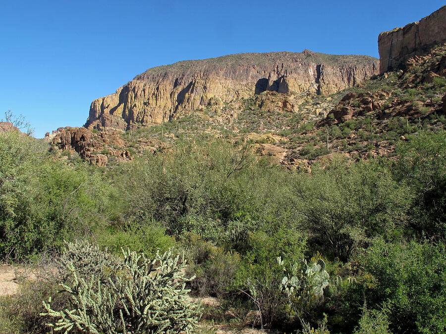 Geronimo Head [Boulder Canyon Trail, Superstition Wilderness, Maricopa County, Arizona]