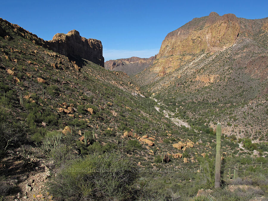 Battleship Mountain & Geronimo Head [Boulder-La Barge saddle, Superstition Wilderness, Maricopa County, Arizona]