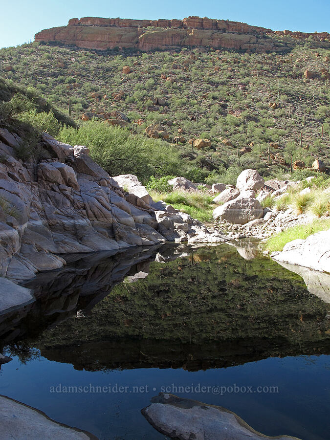 La Barge Pool [La Barge Canyon, Superstition Wilderness, Maricopa County, Arizona]