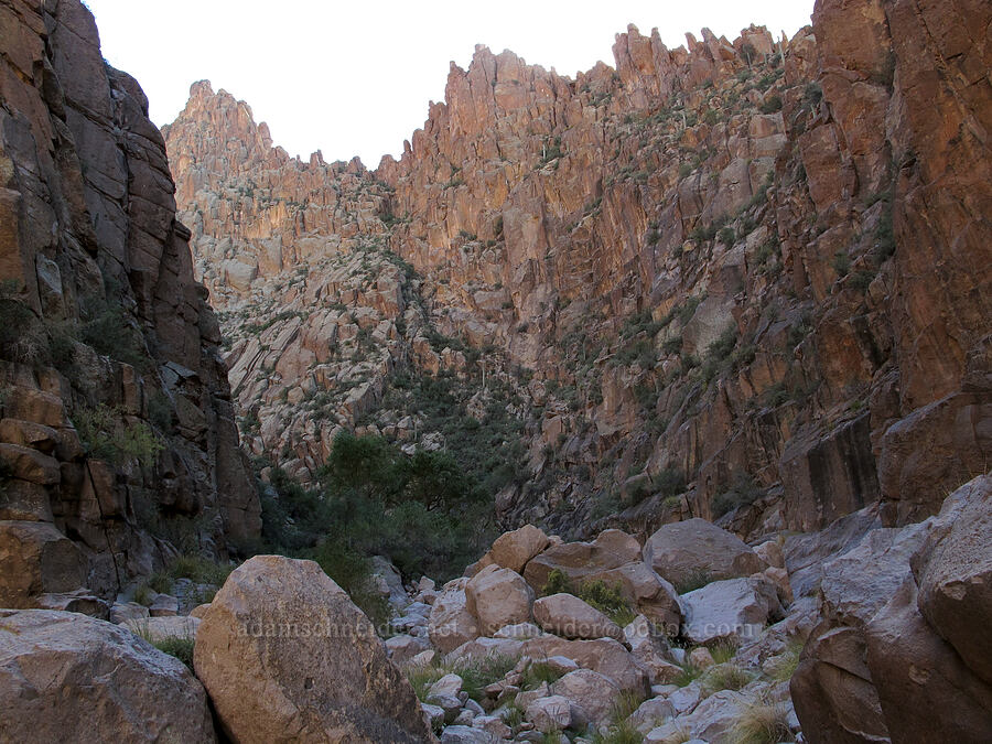 box canyon [La Barge Box Canyon, Superstition Wilderness, Maricopa County, Arizona]