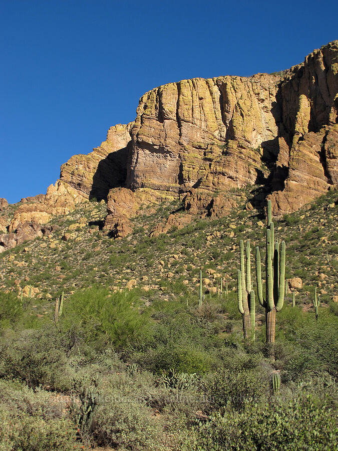 Geronimo Head [Boulder Canyon Trail, Superstition Wilderness, Maricopa County, Arizona]