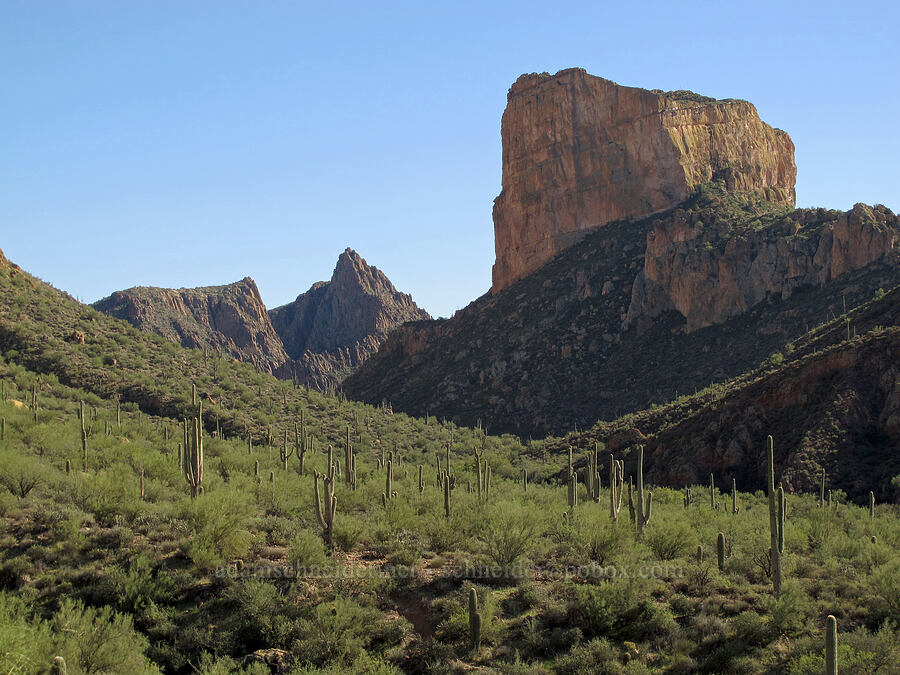 Battleship Mountain [Boulder Canyon Trail, Superstition Wilderness, Maricopa County, Arizona]