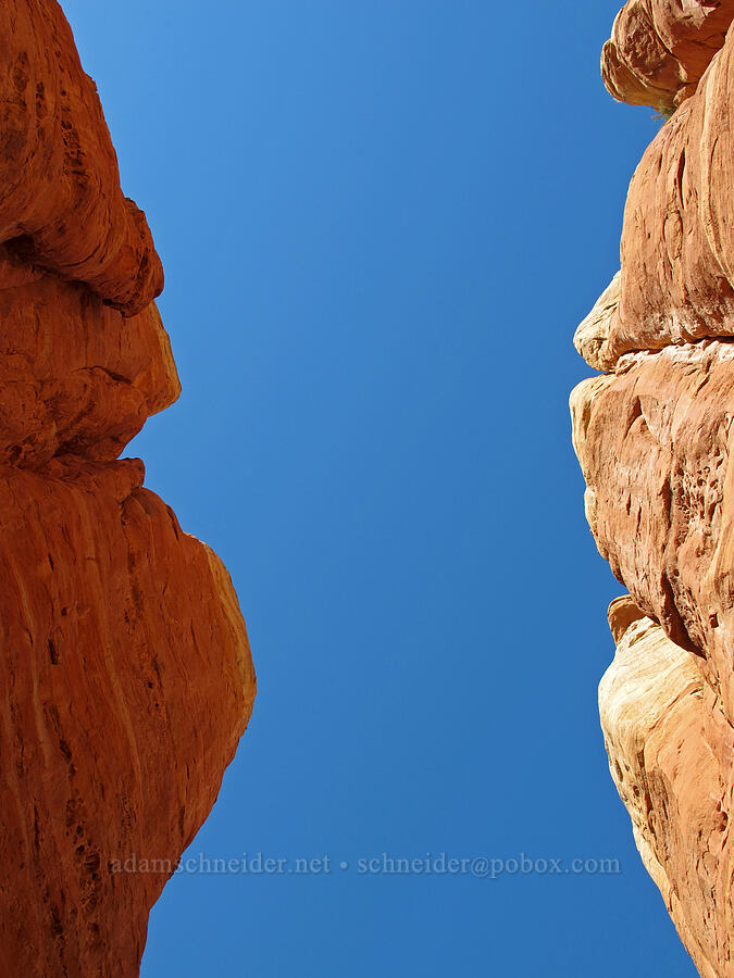 red rock & blue sky [Cathedral Rock, Coconino National Forest, Yavapai County, Arizona]