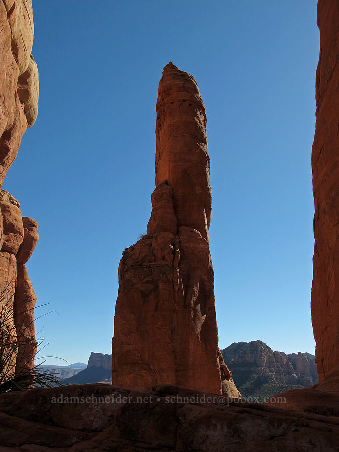 spires of Cathedral Rock [Cathedral Rock, Coconino National Forest, Yavapai County, Arizona]