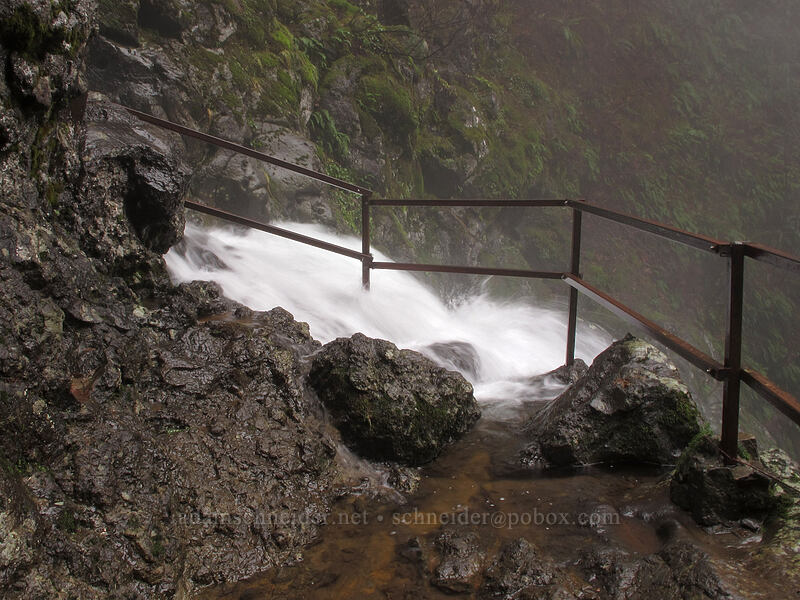 Pool of the Winds, overflowing [Hamilton Mountain Trail, Beacon Rock State Park, Skamania County, Washington]