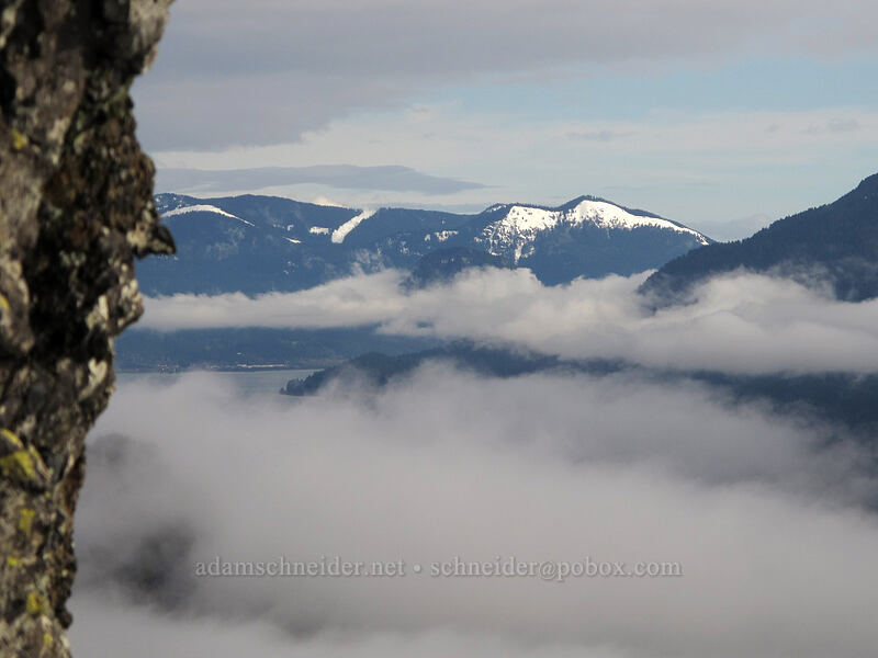 Dog Mountain [Hamilton Mountain Trail, Beacon Rock State Park, Skamania County, Washington]