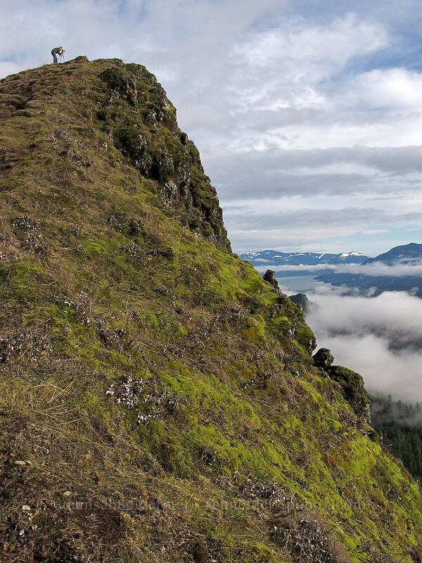 Little Hamilton Mountain [Little Hamilton Mountain, Beacon Rock State Park, Skamania County, Washington]