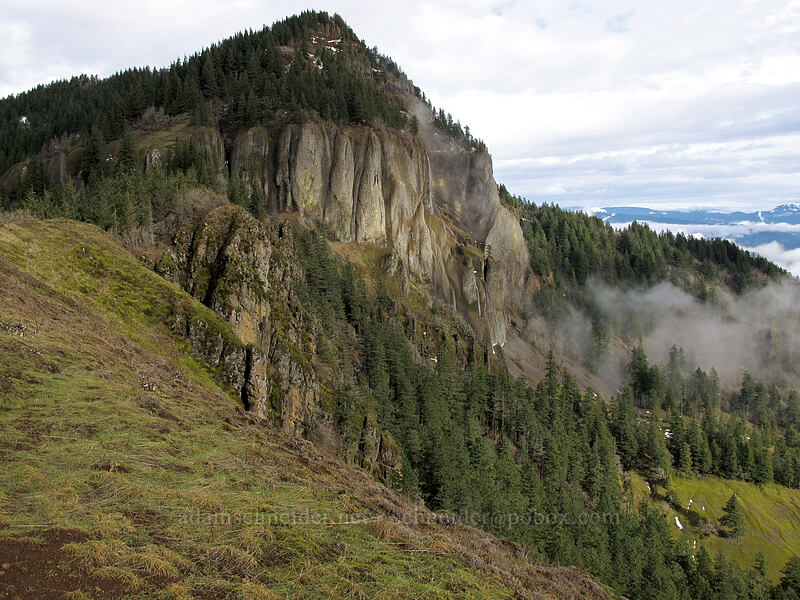 Hamilton Mountain [Little Hamilton Mountain, Beacon Rock State Park, Skamania County, Washington]