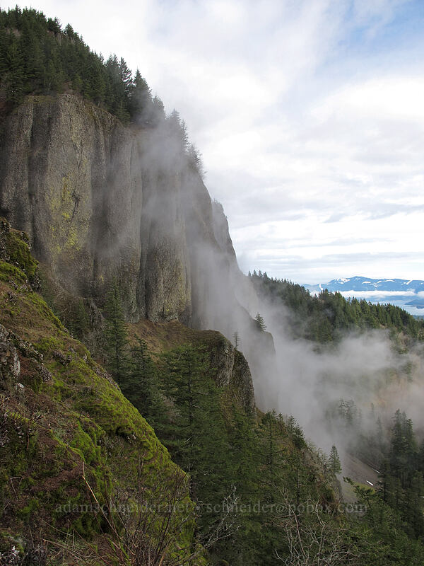 edge of Hamilton Mountain [Little Hamilton Mountain, Beacon Rock State Park, Skamania County, Washington]