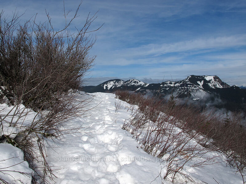 Hamilton Mountain summit & Table Mountain [Hamilton Mountain Trail, Beacon Rock State Park, Skamania County, Washington]