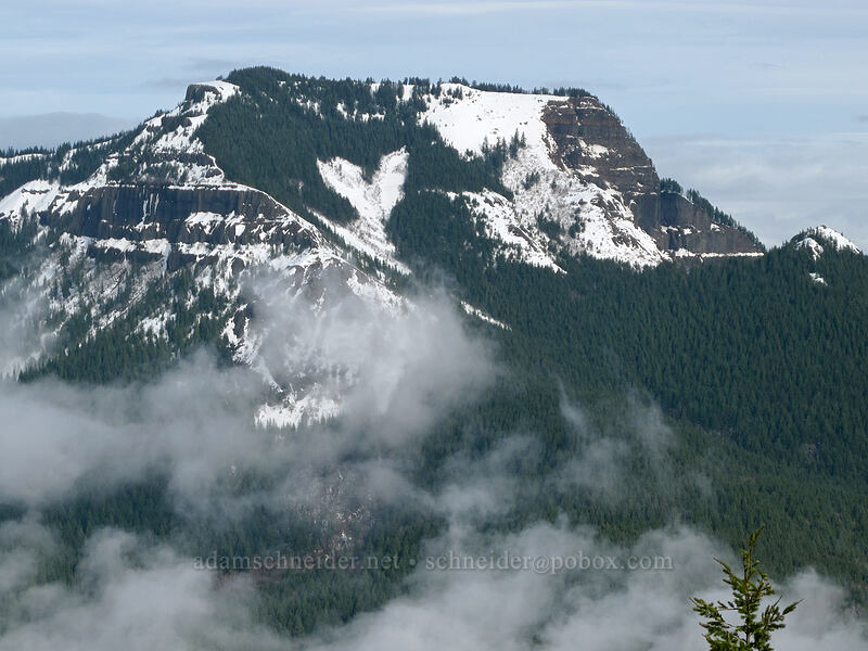Table Mountain [Hamilton Mountain Trail, Beacon Rock State Park, Skamania County, Washington]