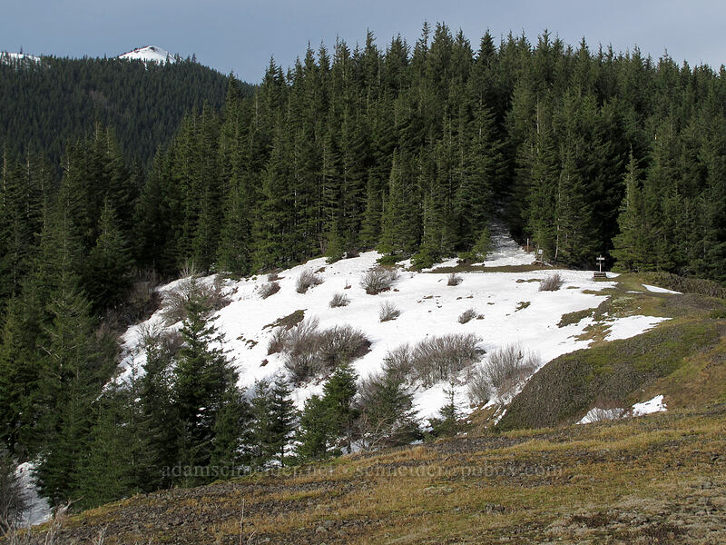 Phlox Point & Hamilton Mountain saddle [Hamilton Mountain Trail, Beacon Rock State Park, Skamania County, Washington]