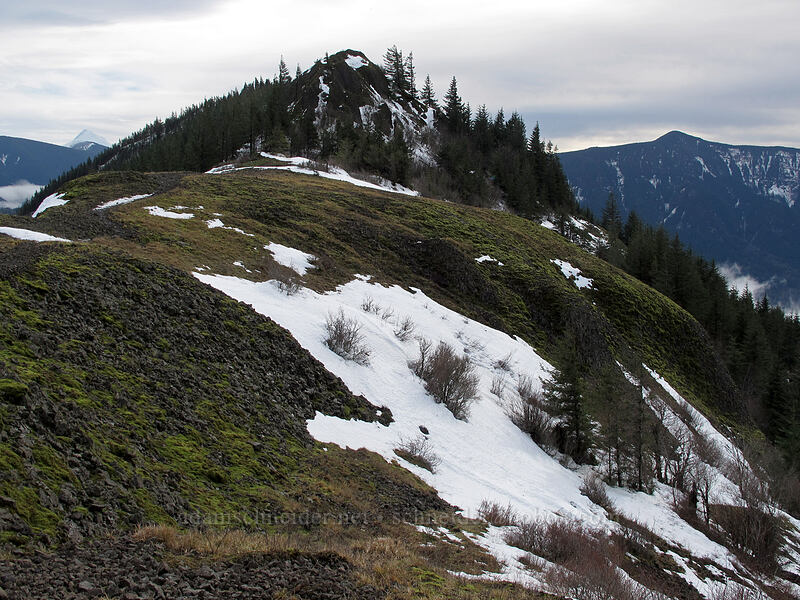Hamilton Mountain from the north [Hamilton Mountain Trail, Beacon Rock State Park, Skamania County, Washington]