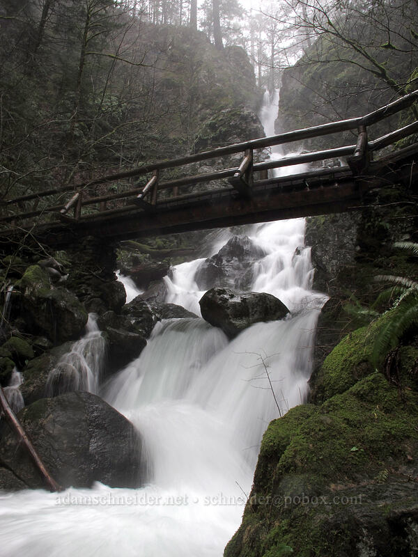 Rodney Falls & bridge [Hamilton Mountain Trail, Beacon Rock State Park, Skamania County, Washington]