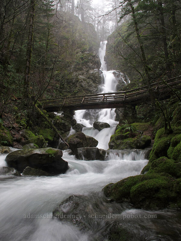 Rodney Falls & bridge [Hamilton Mountain Trail, Beacon Rock State Park, Skamania County, Washington]