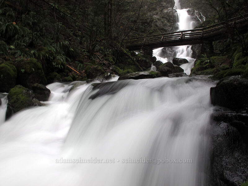 Rodney Falls & bridge [Hamilton Mountain Trail, Beacon Rock State Park, Skamania County, Washington]