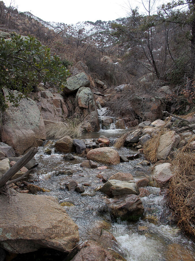 Rock Creek [north side of Brown's Peak, Tonto National Forest, Gila County, Arizona]
