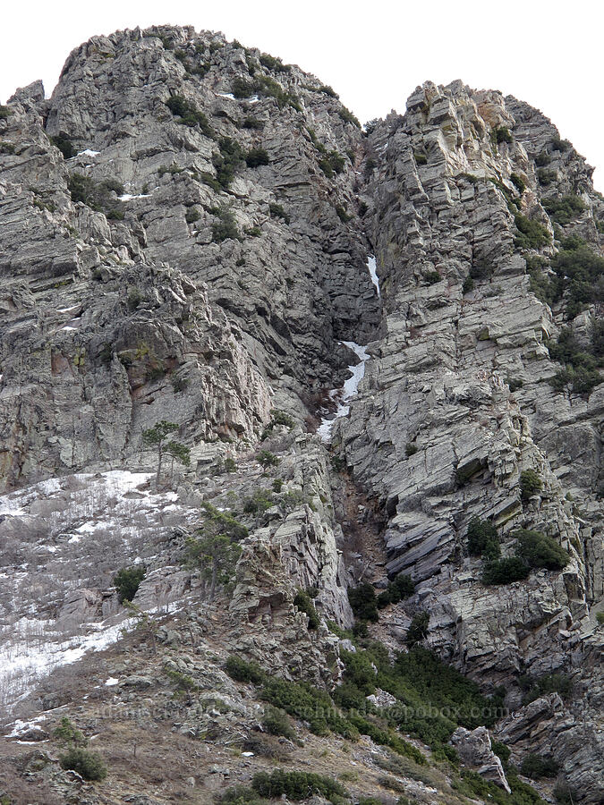 chute to the summit [Brown's Trail, Tonto National Forest, Gila County, Arizona]