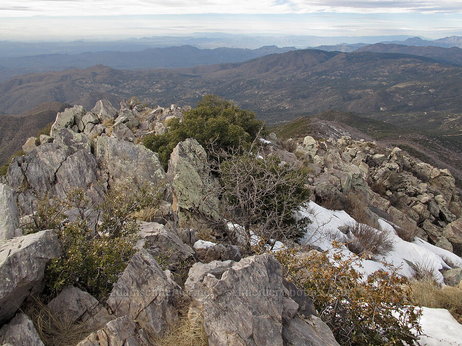 the summit & the view to the northwest [Brown's Peak summit, Tonto National Forest, Maricopa County, Arizona]