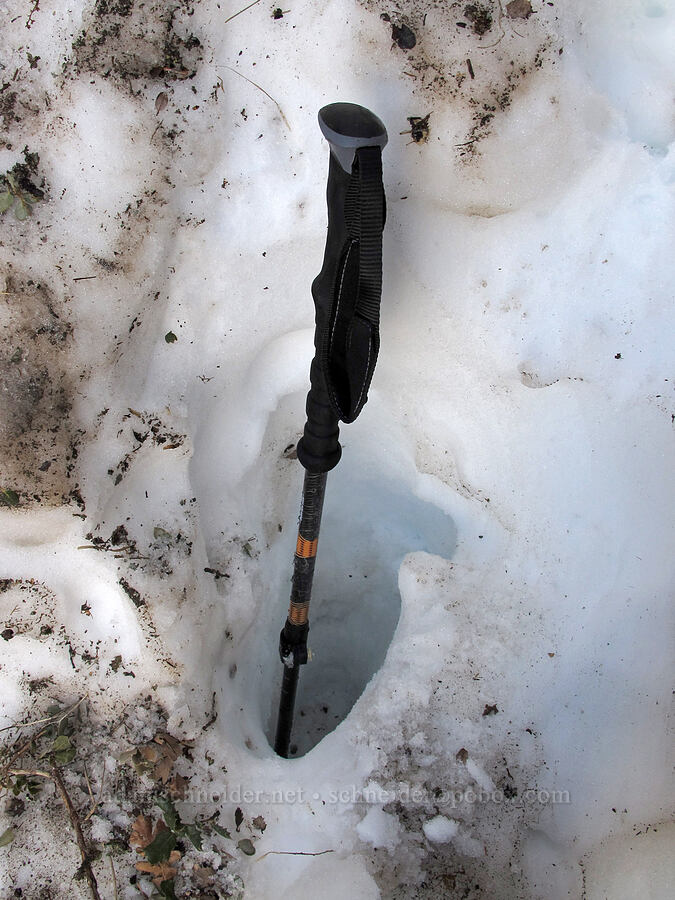 deep posthole [Brown's Peak, Tonto National Forest, Maricopa County, Arizona]