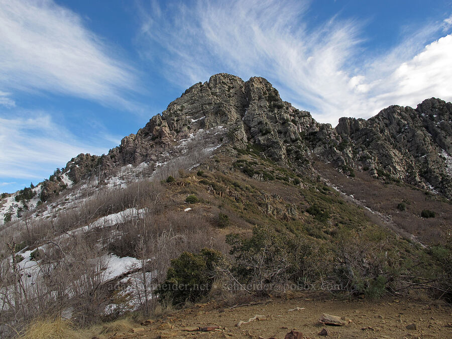 Brown's Peak [Brown's Trail, Tonto National Forest, Gila County, Arizona]