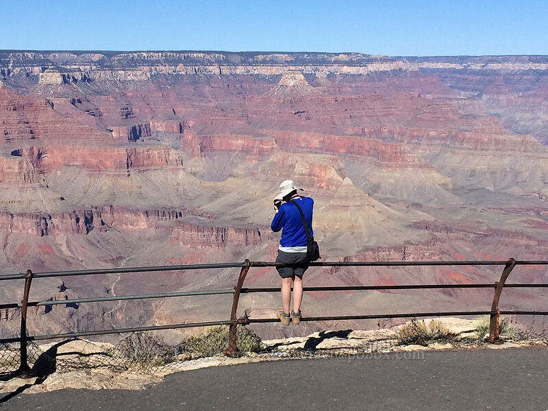 Adam [Hopi Point, Grand Canyon National Park, Coconino County, Arizona]