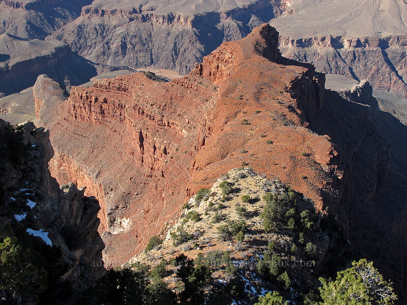 The Alligator [Mohave Point, Grand Canyon National Park, Coconino County, Arizona]