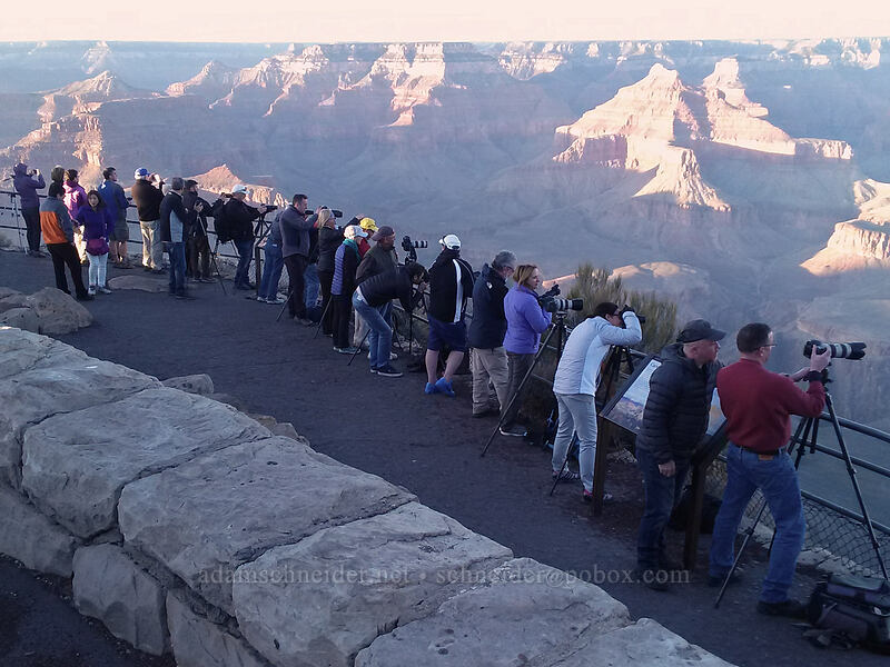 photographers [Hopi Point, Grand Canyon National Park, Coconino County, Arizona]