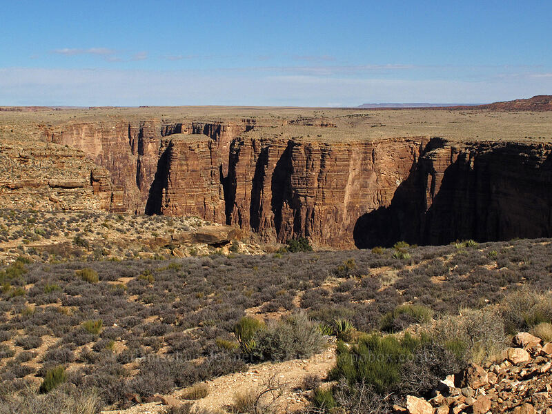 Little Colorado River Gorge [Highway 64, Navajo Nation, Coconino County, Arizona]
