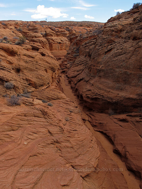 sandstone canyon [Water Holes Canyon, Navajo Nation, Coconino County, Arizona]
