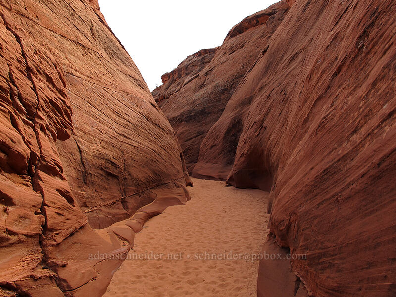 sandstone canyon [Water Holes Canyon, Navajo Nation, Coconino County, Arizona]