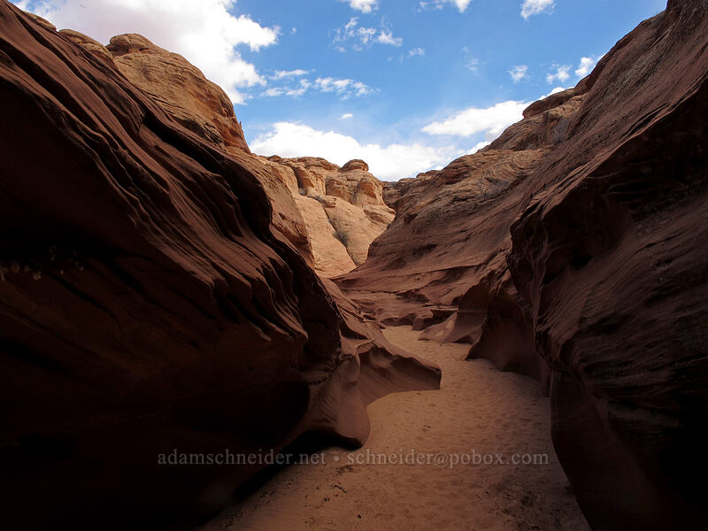 sandstone canyon [Water Holes Canyon, Navajo Nation, Coconino County, Arizona]