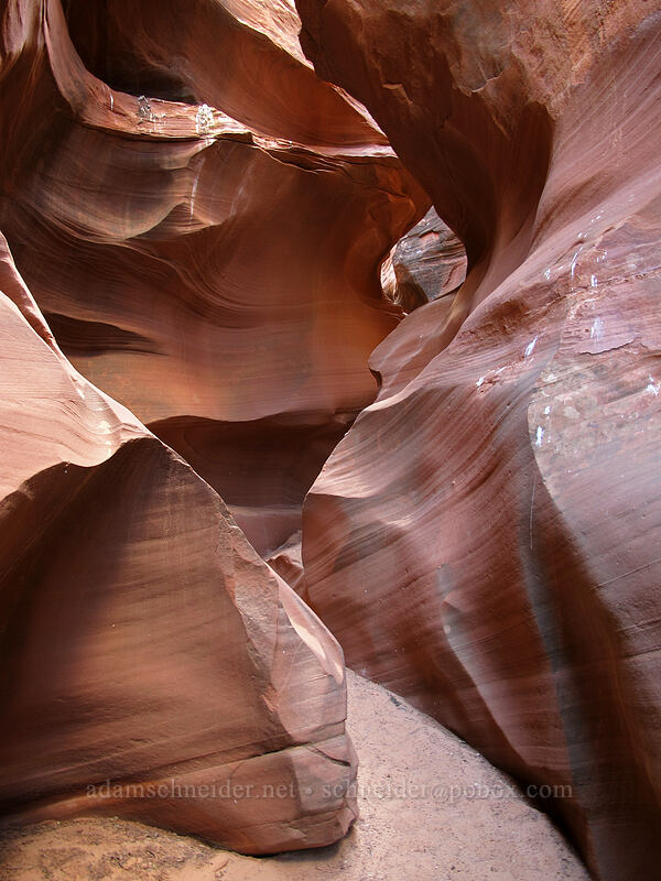 sandstone slot canyon [Water Holes Canyon, Navajo Nation, Coconino County, Arizona]