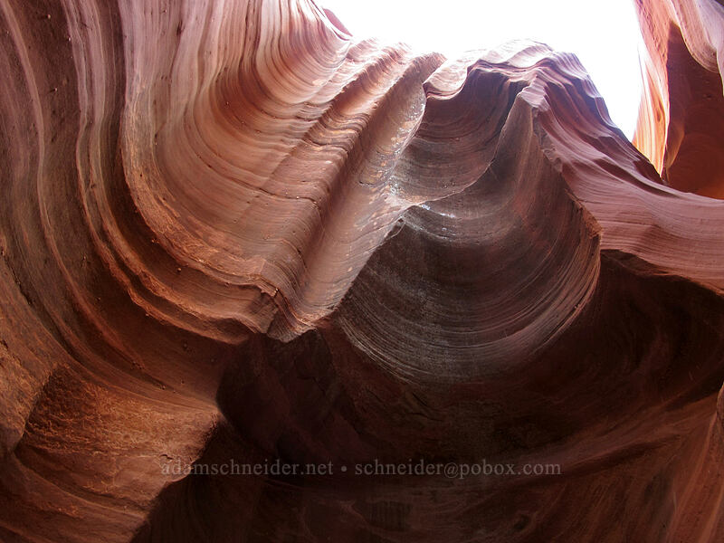 sandstone slot canyon [Water Holes Canyon, Navajo Nation, Coconino County, Arizona]