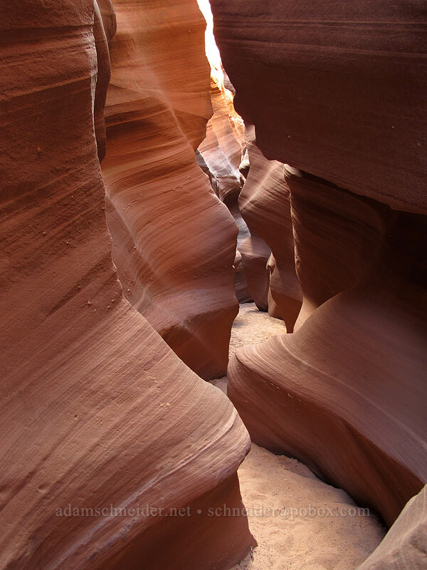 sandstone slot canyon [Water Holes Canyon, Navajo Nation, Coconino County, Arizona]