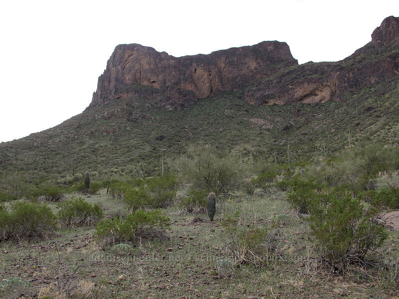 Picacho Peak [Hunter Trail, Picacho Peak State Park, Pinal County, Arizona]