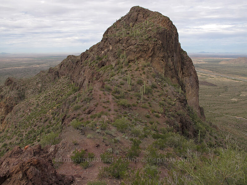 Peak 3161 (north side of Picacho Peak) [Hunter Trail, Picacho Peak State Park, Pinal County, Arizona]