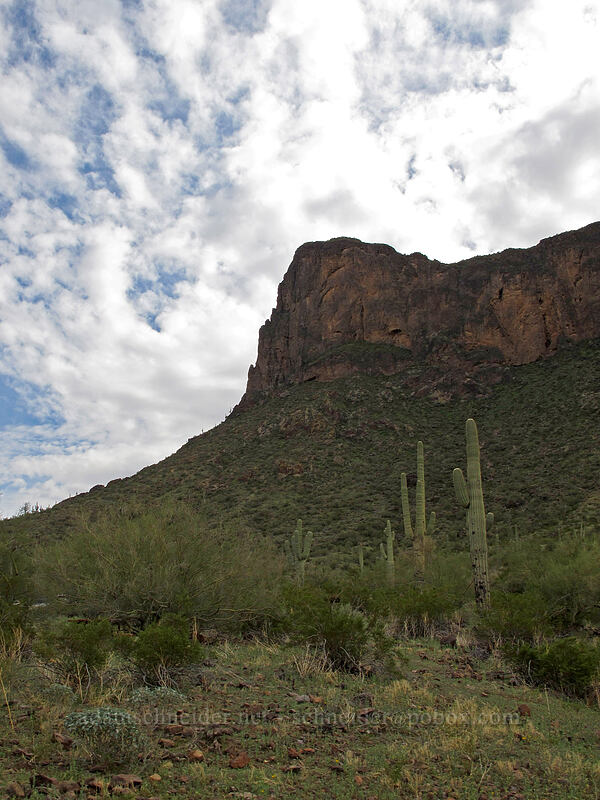 Picacho Peak [Hunter Trail, Picacho Peak State Park, Pinal County, Arizona]