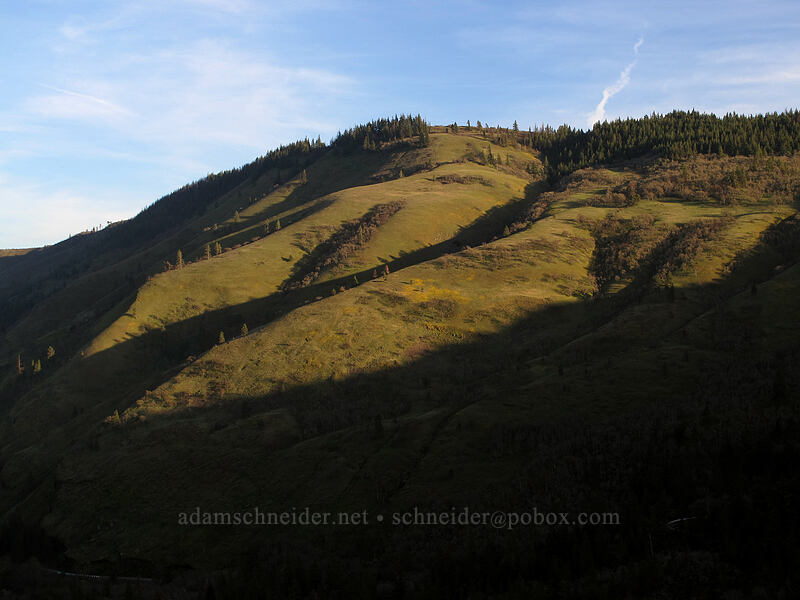evening light in Rowena Gap [Rowena Crest, Wasco County, Oregon]