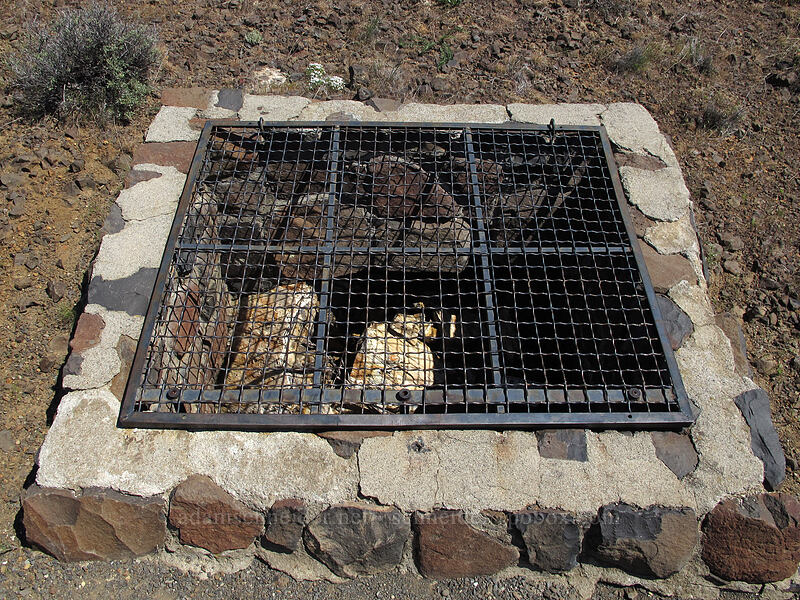 petrified tree in a cage [Ginkgo Petrified Forest State Park, Kittitas County, Washington]