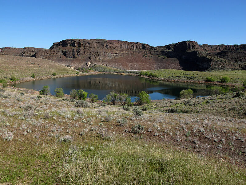 Ancient Lakes [Ancient Lakes Trail, Grant County, Washington]