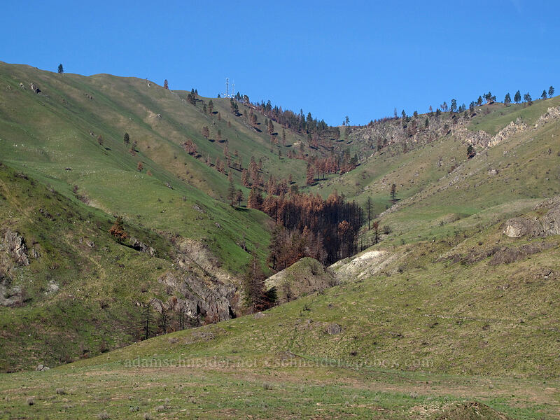 Daybreak Canyon [Gorge Road, Chelan Falls, Chelan County, Washington]