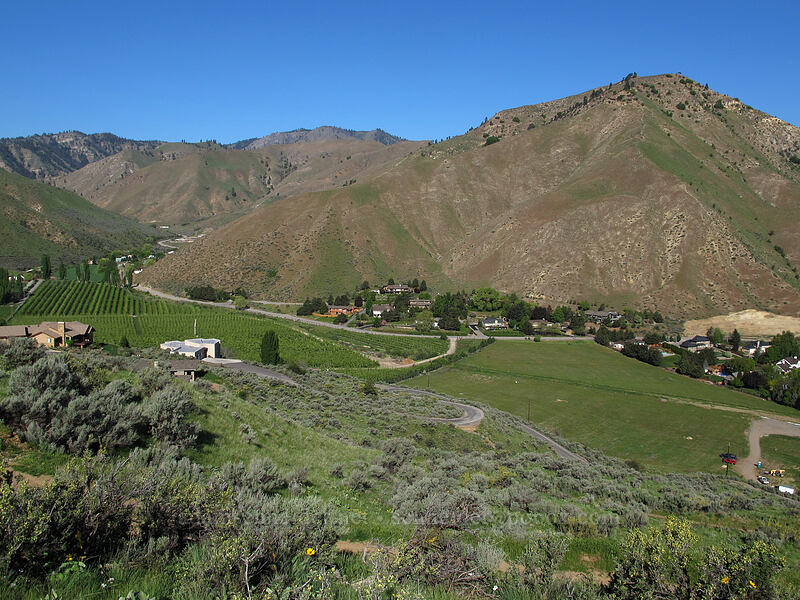 Number Two Canyon & Chopper Peak [Jacobson Preserve, Wenatchee, Chelan County, Washington]