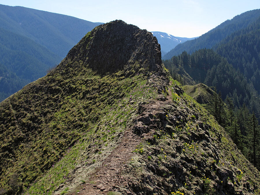 Munra Point's southern ridge [Munra Point, Columbia River Gorge, Multnomah County, Oregon]