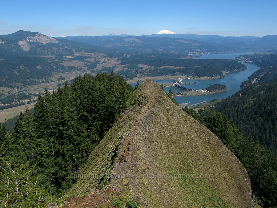 Bonneville Dam & Mt. Adams [Munra Point, Columbia River Gorge, Multnomah County, Oregon]