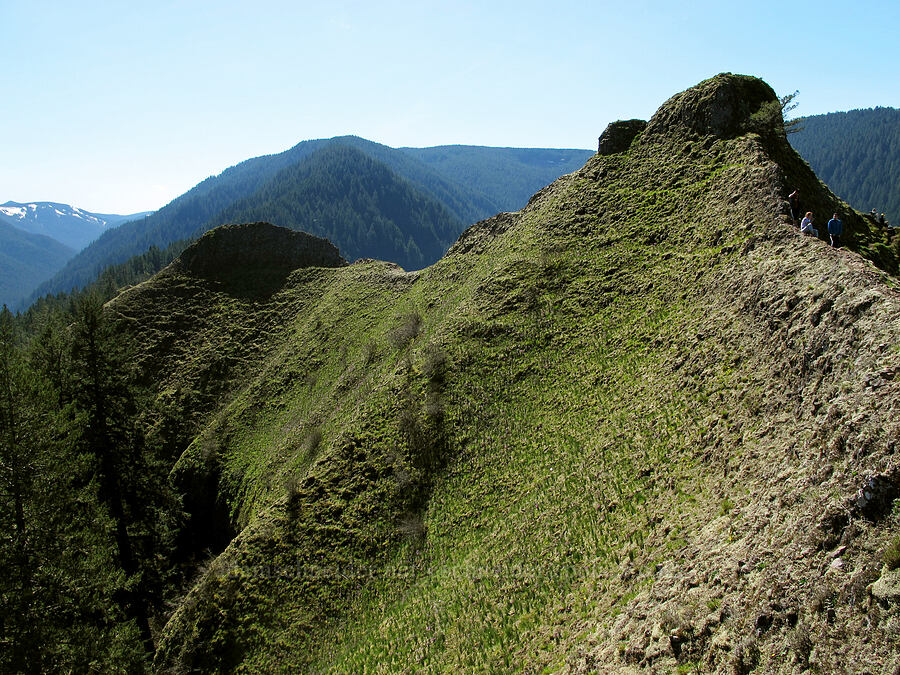 Munra Point [Munra Point, Columbia River Gorge, Multnomah County, Oregon]