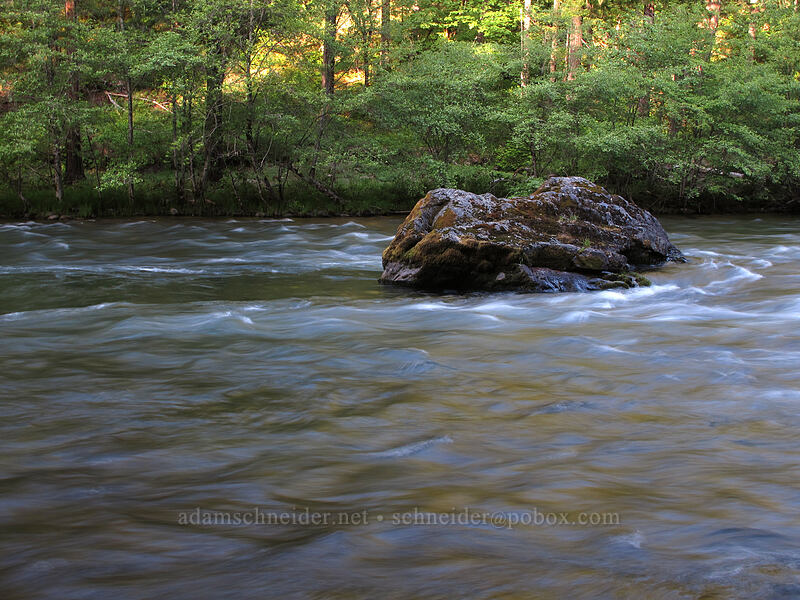 North Umpqua River [Eagle Rock Campground, Umpqua National Forest, Douglas County, Oregon]