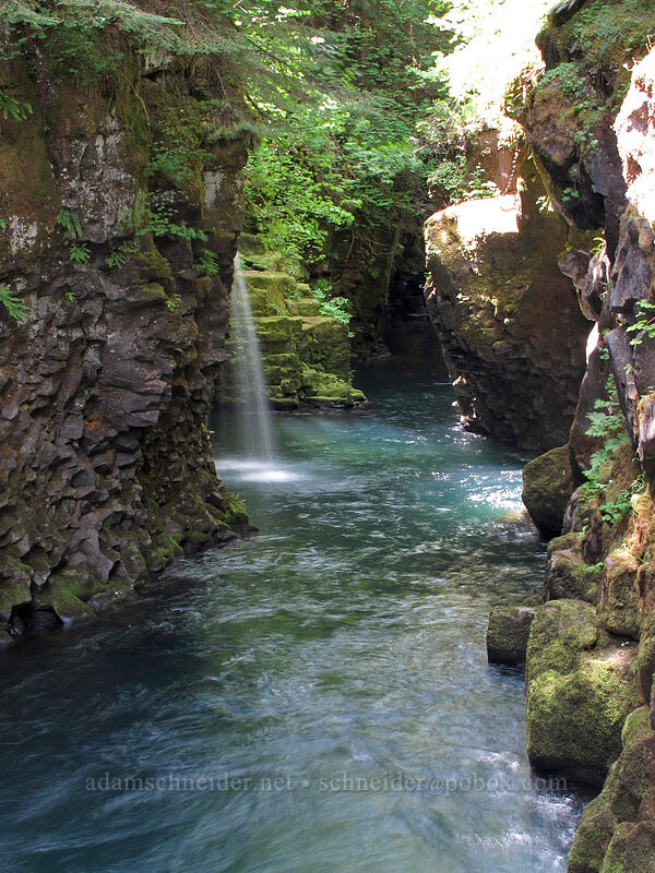 slot canyon [Toketee Falls Trail, Umpqua National Forest, Douglas County, Oregon]