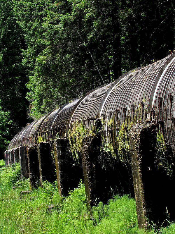 leaky wooden penstock [Toketee Falls Trailhead, Umpqua National Forest, Douglas County, Oregon]